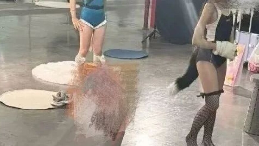 庄寒雁在表情包赛道强得可怕,澳门正版资料免费大全新闻,经济性执行方案剖析_投资版V2.36